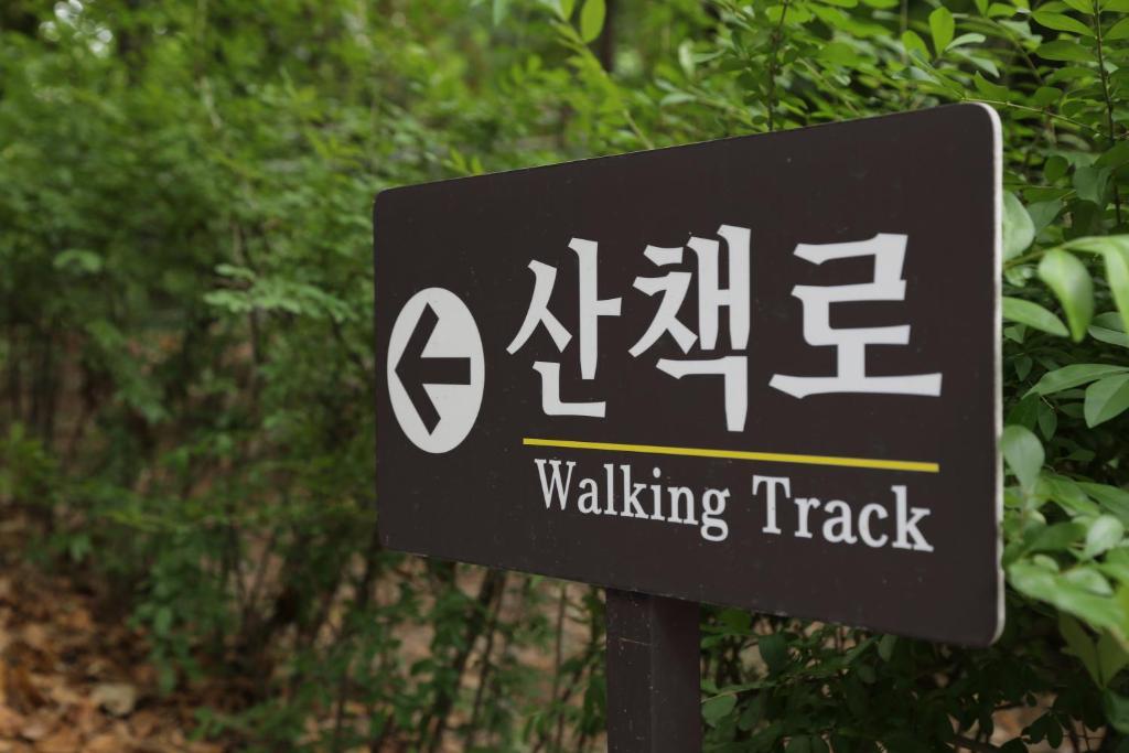 The-k Seoul